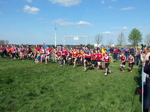 kaiyun-青少年体育兴趣培养的社会支持研究,培养青少年体育爱好基本实现青少年熟练掌握一项